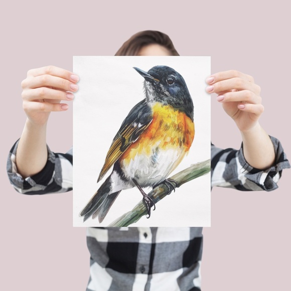 Watercolor American Redstart Bird Print Unframed - Wall Art Bird Illustration - Picture 4 of 5
